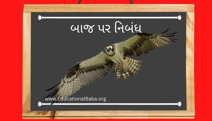 બાજ પર નિબંધ (Hawk) Baj Nibandh in Gujarati