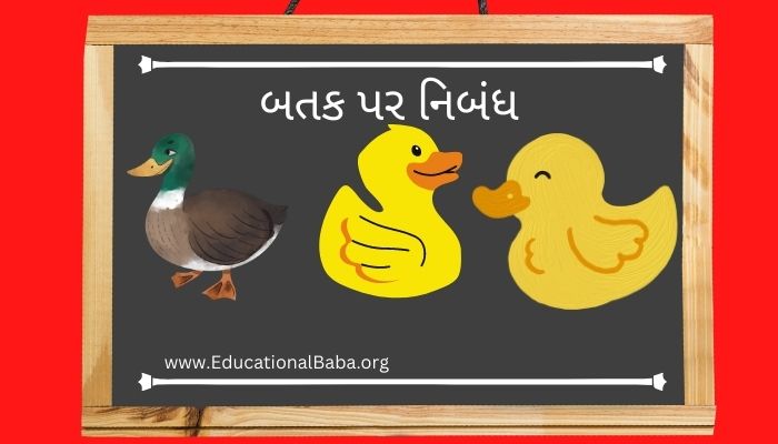 બતક પર નિબંધ (Duck) Batak Nibandh in Gujarati