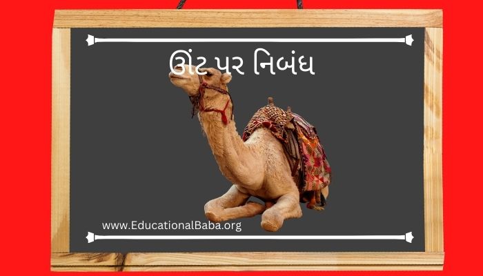ઊંટ પર નિબંધ Camel Nibandh in Gujarati
