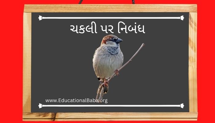 ચકલી પર નિબંધ (Sparrow) Chakli Nibandh in Gujarati