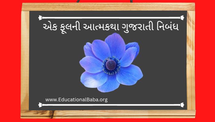એક ફૂલની આત્મકથા ગુજરાતી નિબંધ Ek Phul Ni Atmakatha Gujarati Nibandh