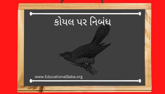 કોયલ પર નિબંધ Koyal Nibandh in Gujarati [Cuckoo]