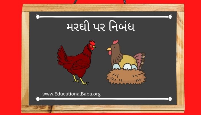 મરઘી પર નિબંધ (Hen) Margi Nibandh in Gujarati