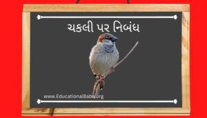 ચકલી પર નિબંધ (Sparrow) Chakli Nibandh in Gujarati