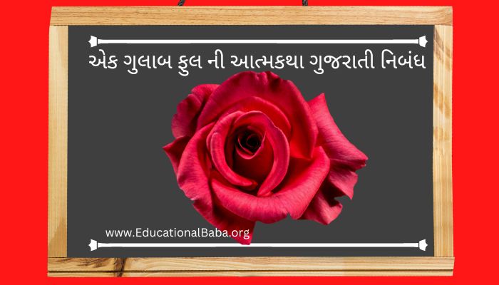 એક ગુલાબ ફુલ ની આત્મકથા ગુજરાતી નિબંધ Ek Gulab Phul Ni Atmakatha Gujarati Nibandh