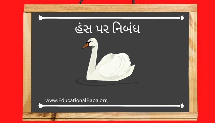 હંસ પર નિબંધ [Swan] Hance Nibandh in Gujarati