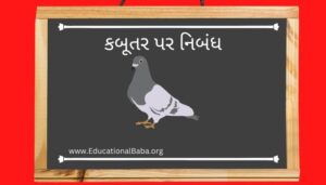 કબૂતર પર નિબંધ (Pigeon) kabutar Nibandh in Gujarati