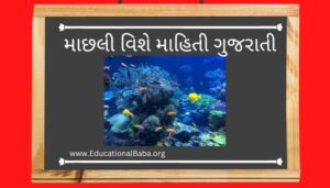 માછલી વિશે માહિતી ગુજરાતી Machali Information in Gujarati