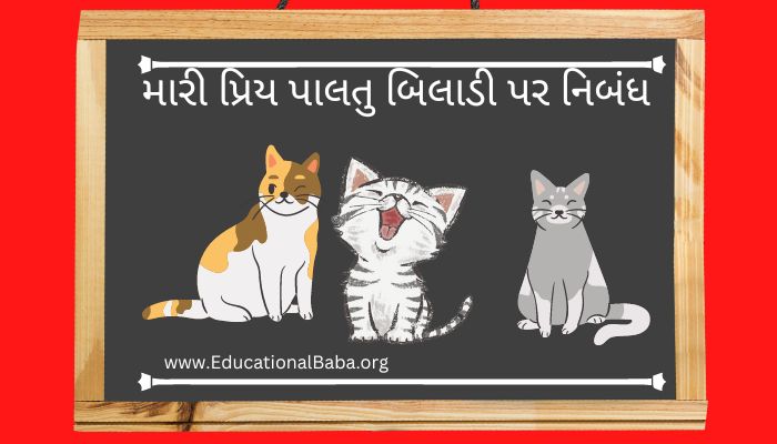 મારી પ્રિય પાલતુ બિલાડી પર નિબંધ My Favourite Pet Cat Nibandh in Gujarati
