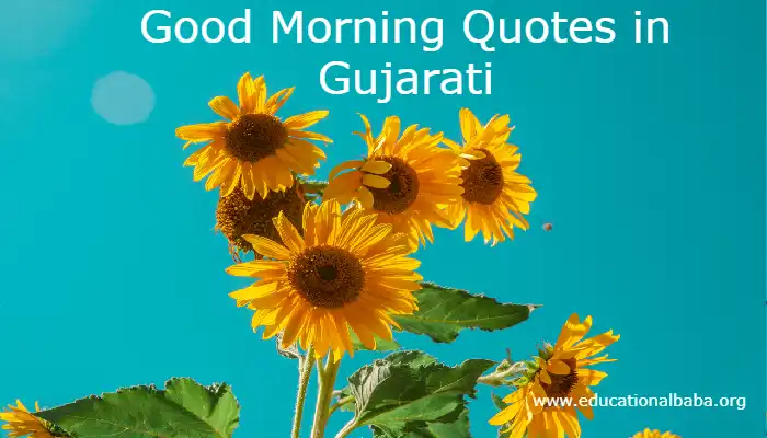 Latest 909+ શુભ સવાર શાયરી Good Morning Quotes in Gujarati
