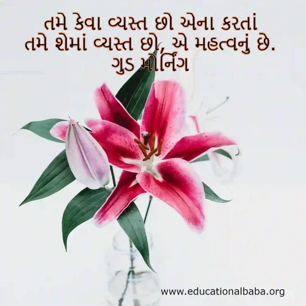 Latest 909+ શુભ સવાર શાયરી Good Morning Quotes in Gujarati 