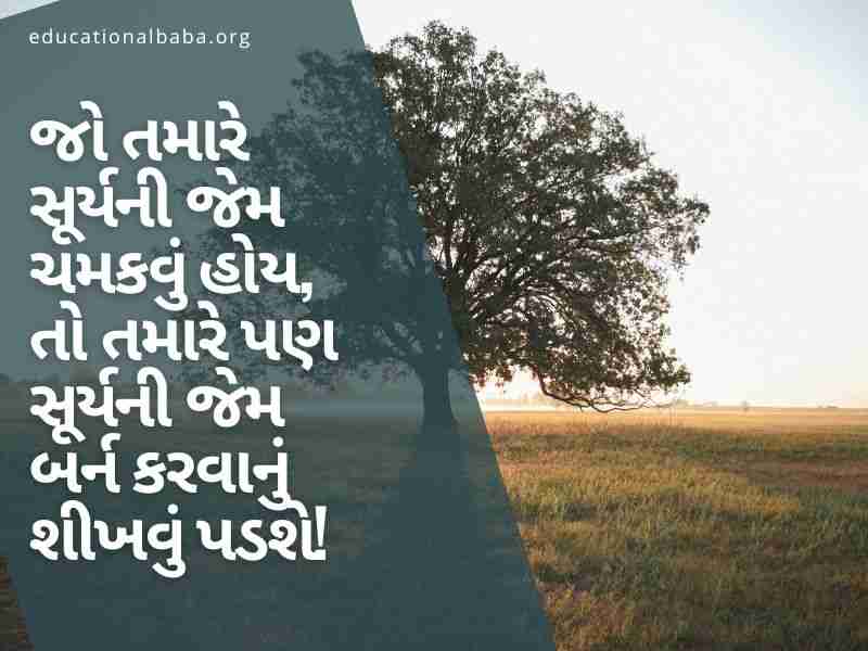 (Hard Work Quotes in Gujarati) સખત મહેનત સુવિચાર ગુજરાતી