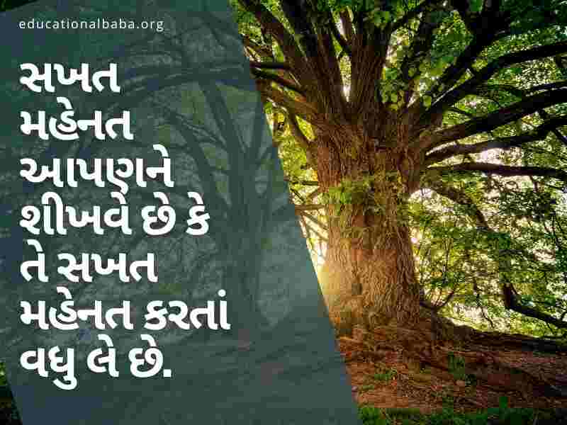 (Hard Work Quotes in Gujarati) સખત મહેનત સુવિચાર ગુજરાતી
