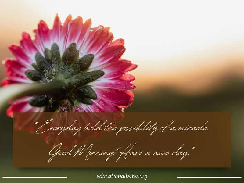 ગુરુવારની શુભકામનાઓ ગુજરાતી, Happy Thursday Good Morning Wishes in Gujarati, Happy Thursday Messages In Gujarati, ગુરુવારની શુભેચ્છા સંદેશ ગુજરાતી, Good Morning Happy Thursday in Gujarati, ગુડ મોર્નિંગ હેપ્પી ગુરુવાર ગુજરાતી, ગુડ મોર્નિંગની શુભકામનાઓ ગુજરાતી, ગુરુવાર ના ટેટસ ગુજરાતી,