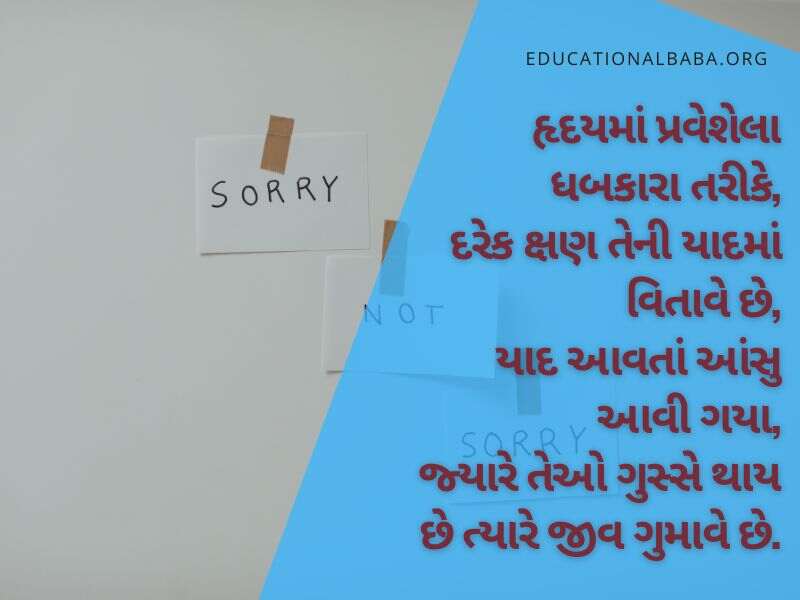 સોરી ક્વોટ્સ ગુજરાતી Sorry Quotes in Gujarati Text, Sorry Status in Gujarati, સોરી ના ફોટા