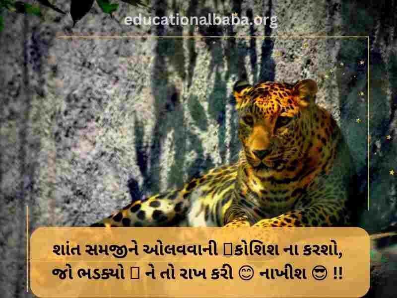 Attitude Shayari in Gujarati (એટીટ્યુડ શાયરી)