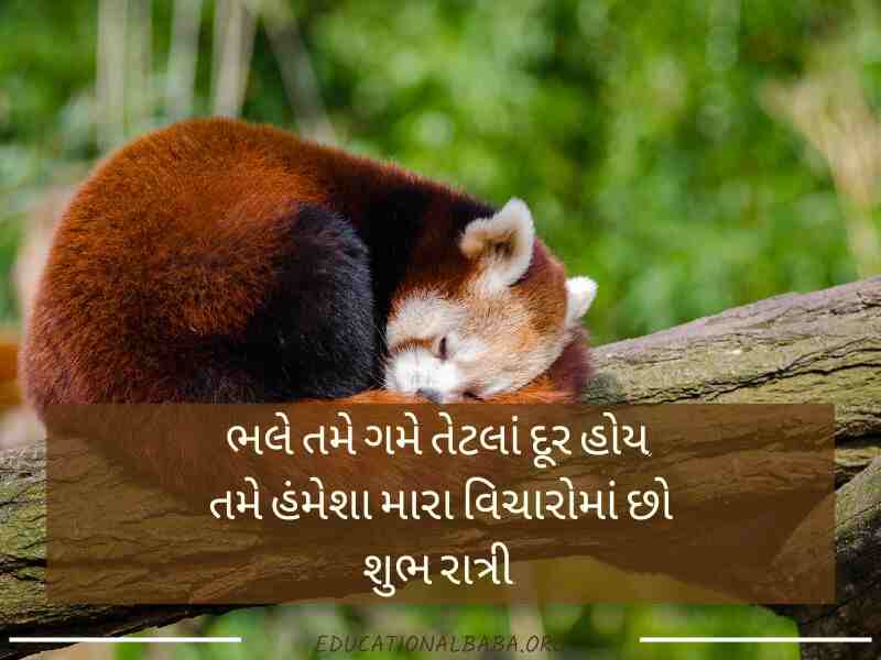 Good Night શુભ રાત્રી મેસેજ, શુભ રાત્રી જય શ્રી કૃષ્ણ, Good Night Shayari Gujarati Love, Image of Good Night Gujarati, Good Night Gujarati, Good Night Images, શુભ રાત્રી સુવિચાર, Good Night Quotes in Gujarati,