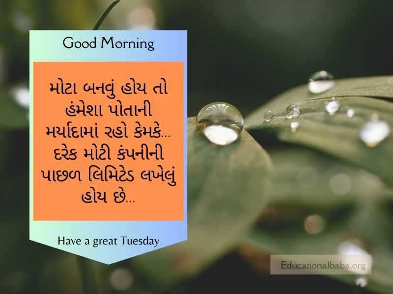 Happy Tuesday Good Morning Wishes in Gujarati (મંગળ સવારની શુભેચ્છાઓ)