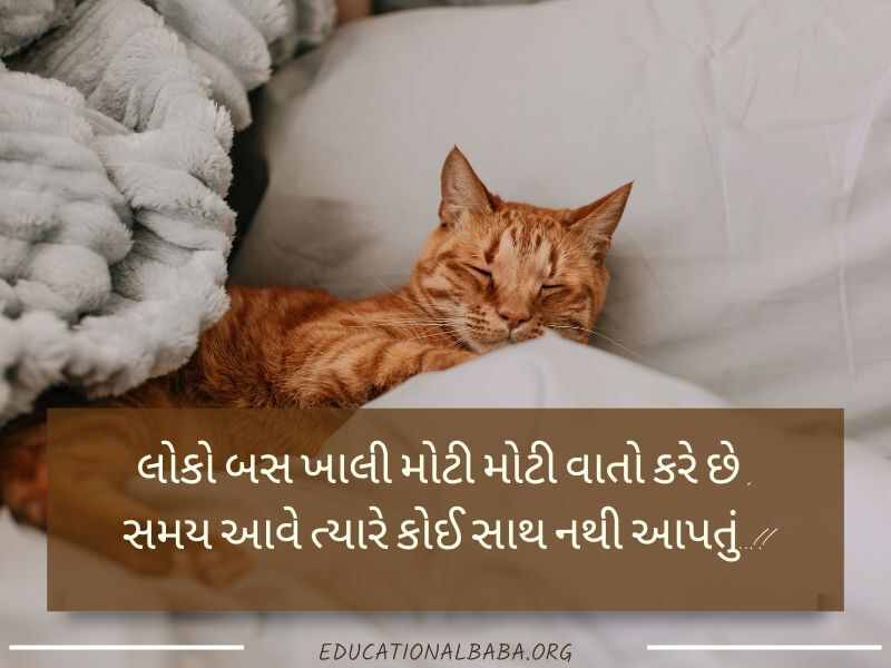 Good Night શુભ રાત્રી મેસેજ, શુભ રાત્રી જય શ્રી કૃષ્ણ, Good Night Shayari Gujarati Love, Image of Good Night Gujarati, Good Night Gujarati, Good Night Images, શુભ રાત્રી સુવિચાર, Good Night Quotes in Gujarati,