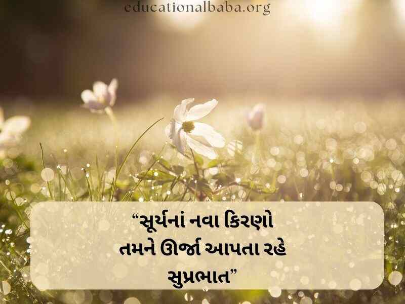 Good Morning Images in Gujarati (ગુડ મોર્નિંગ ઈમેજીસ)