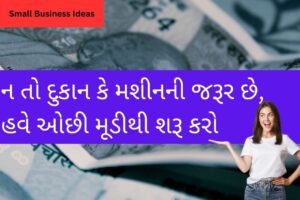 Small Business Ideas: ન તો દુકાન કે મશીનની જરૂર છે, હવે ઓછી મૂડીથી શરૂ કરો