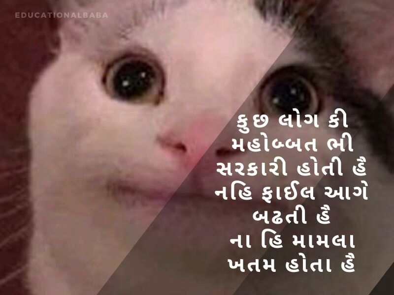 ફની શાયરી ગુજરાતી Comedy Shayari In Gujarati કોમેડી જોક્સ ગુજરાતી