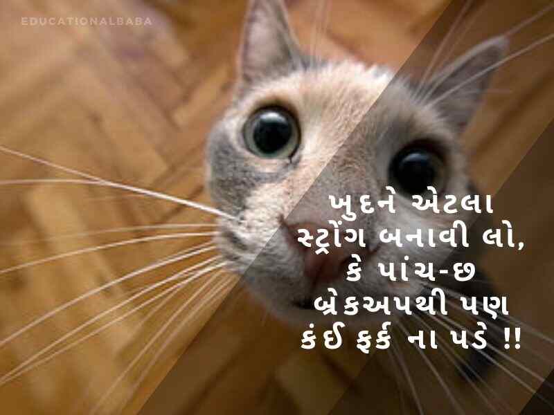 ફની શાયરી ગુજરાતી Comedy Shayari In Gujarati કોમેડી જોક્સ ગુજરાતી