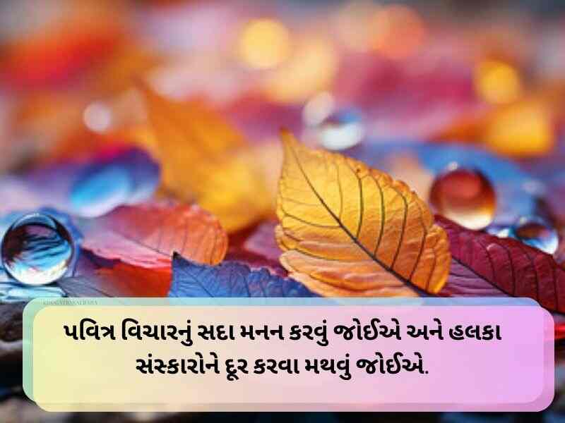 450+ જિંદગી સુવિચાર ગુજરાતી Life Quotes in Gujarati Text | Shayari | Wishes 