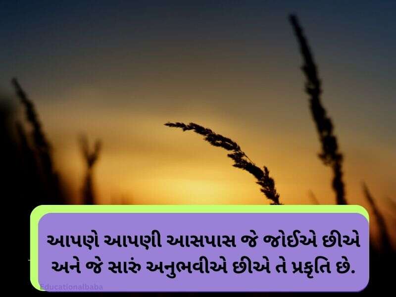 Best 10+ પ્રકૃતિ કોટ્સ ગુજરાતી Nature Quotes in Gujarati Text | Images 