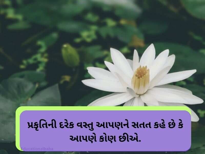 Best 10+ પ્રકૃતિ કોટ્સ ગુજરાતી Nature Quotes in Gujarati Text | Images 