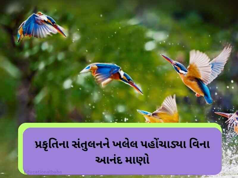 Best 10+ પ્રકૃતિ કોટ્સ ગુજરાતી Nature Quotes in Gujarati Text | Images