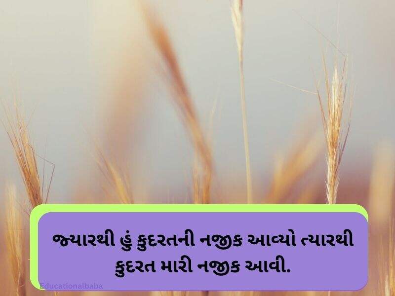 Best 10+ પ્રકૃતિ કોટ્સ ગુજરાતી Nature Quotes in Gujarati Text | Images 