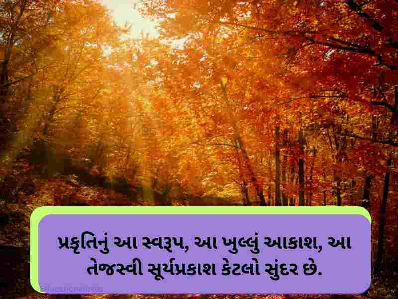 Best 10+ પ્રકૃતિ કોટ્સ ગુજરાતી Nature Quotes in Gujarati Text | Images 