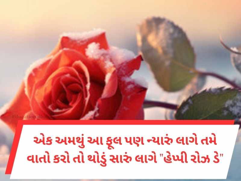 Best 420+ રોઝ ડે સુભેછાઓ ગુજરાતી Rose Day Wishes In Gujarati Text | Quotes | Shayari