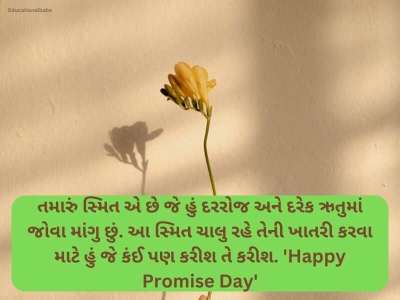 150+ પ્રોમિસ ડે કોટ્સ ગુજરાતી Promise Day Quotes in Gujarati