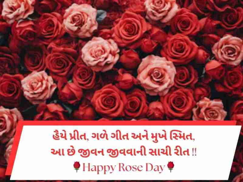 Best 420+ રોઝ ડે સુભેછાઓ ગુજરાતી Rose Day Wishes In Gujarati Text | Quotes | Shayari