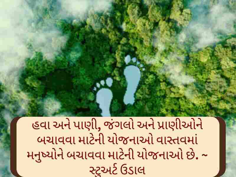 World Environment Day Quotes in Gujarati [વિશ્વ પર્યાવરણ દિવસ કોટ્સ]