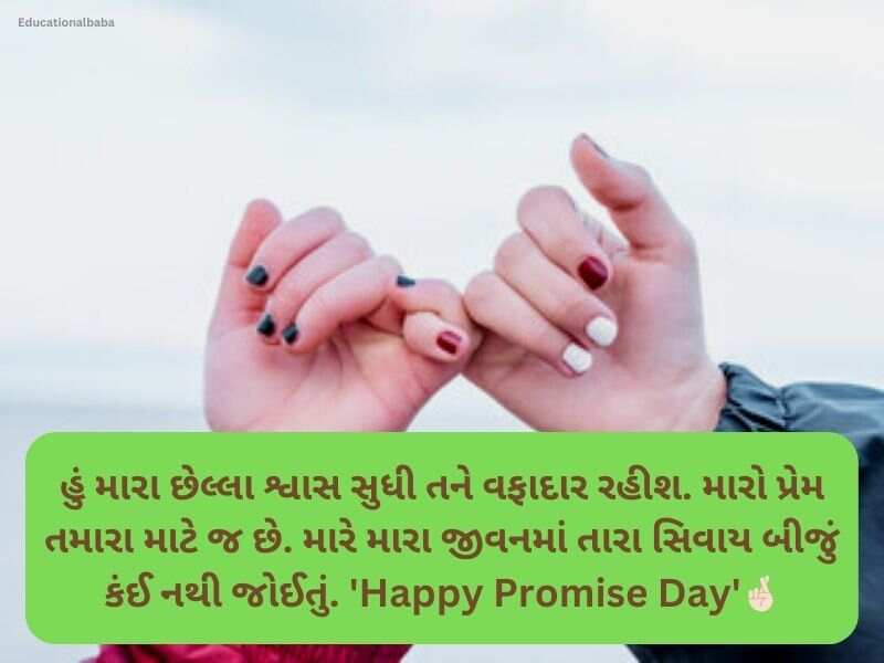 150+ પ્રોમિસ ડે કોટ્સ ગુજરાતી Promise Day Quotes in Gujarati