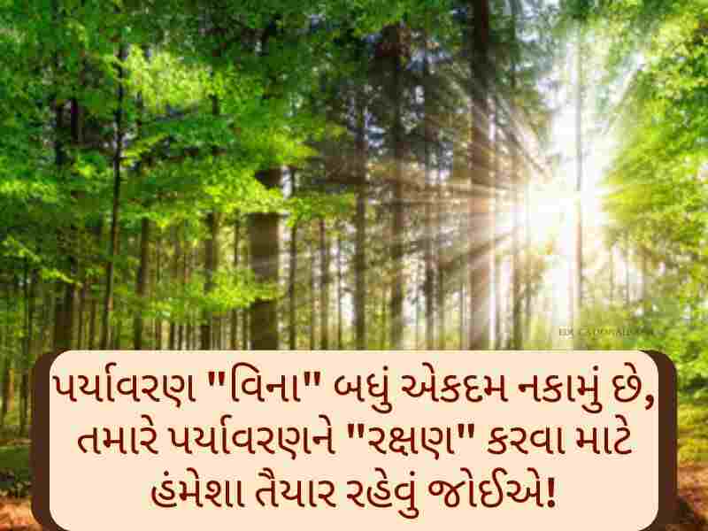 400+ Best પર્યાવરણ પર કોટ્સ Environment Quotes in Gujarati