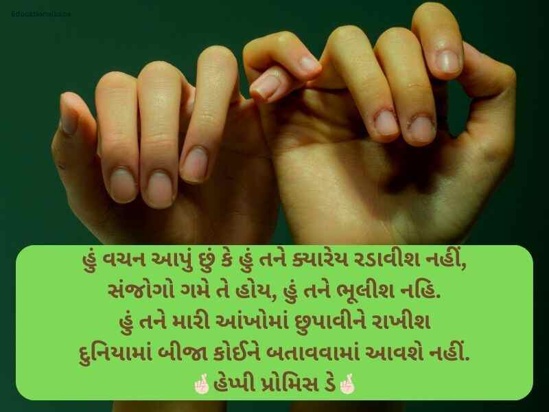 150+ પ્રોમિસ ડે કોટ્સ ગુજરાતી Promise Day Quotes in Gujarati
